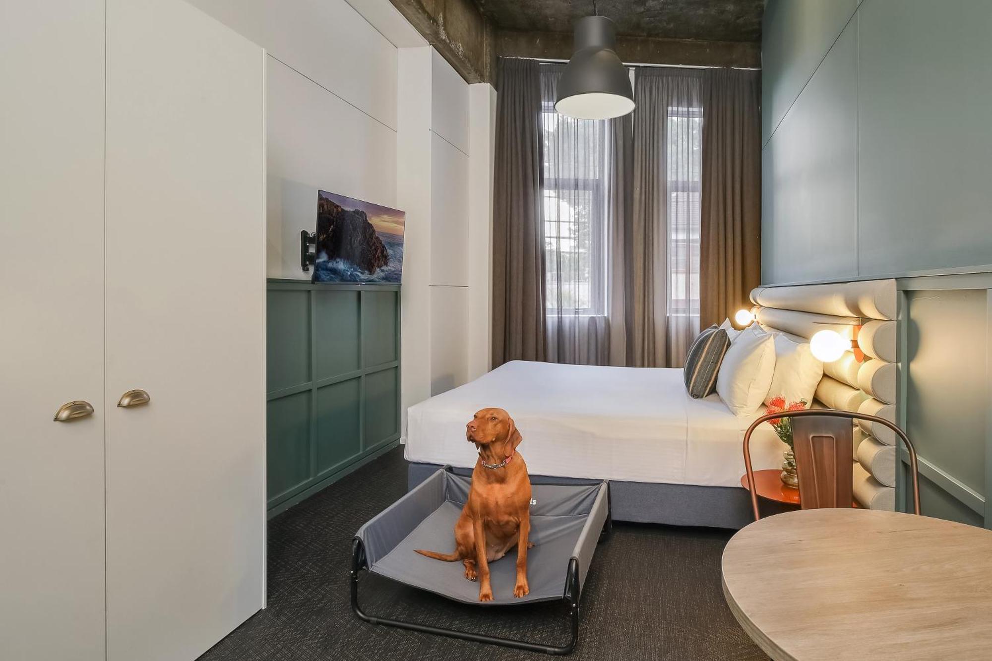 Hotel The Urban Newtown Sydney Exterior foto